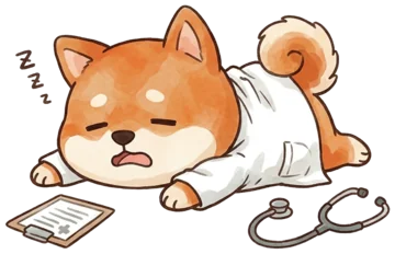 疲れ果てて倒れ込む柴犬ドクター